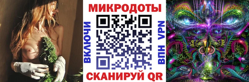 кракен рабочий сайт  Жердевка  Галлюциногенные грибы Magic Shrooms 